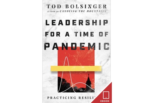 Leadership for a Time of Pandemic: Practicing Resilience