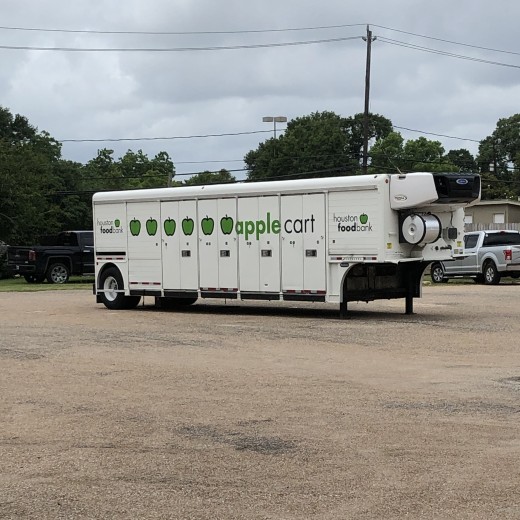 Pandemic Transitions