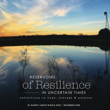 Reservoirs of Resilience in Uncertain Times